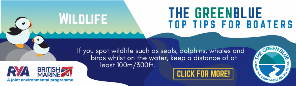 Sustainable Boating Wildlife Top tip infographics