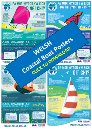 Image of some of the Welsh language posters available