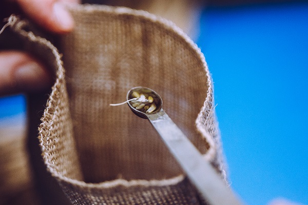LAndscape of seagrass seeds been placed in a hemp bag with a spatula