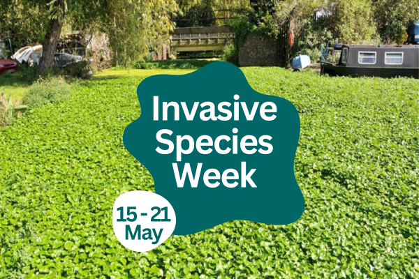 Invasive Species Week 15 - 21 May