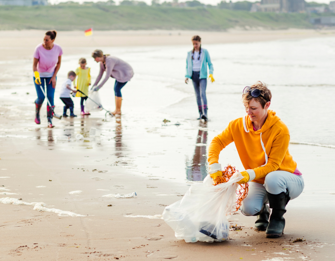 A group of people are carrying out a beach clean