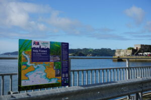 seagrass awareness board at its new site in Plymouth