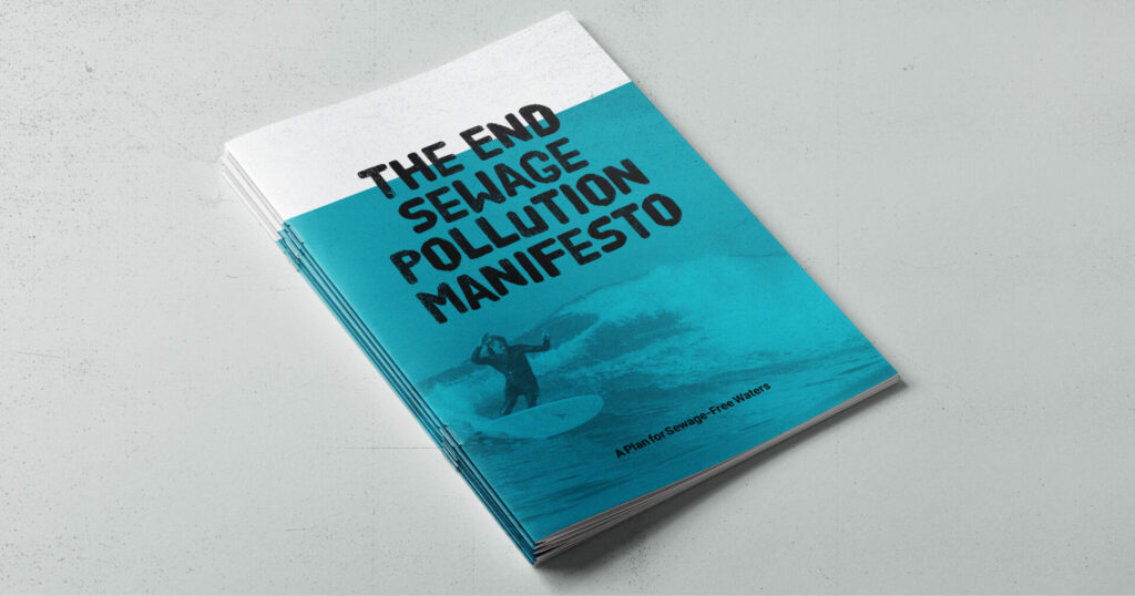 Front cover of SAS manifesto